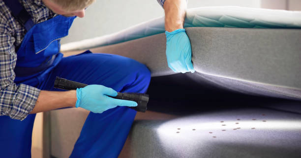 Best Residential Pest Control  in Prospect Heights, IL