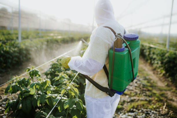 Best Pest Inspection Near Me  in Prospect Heights, IL
